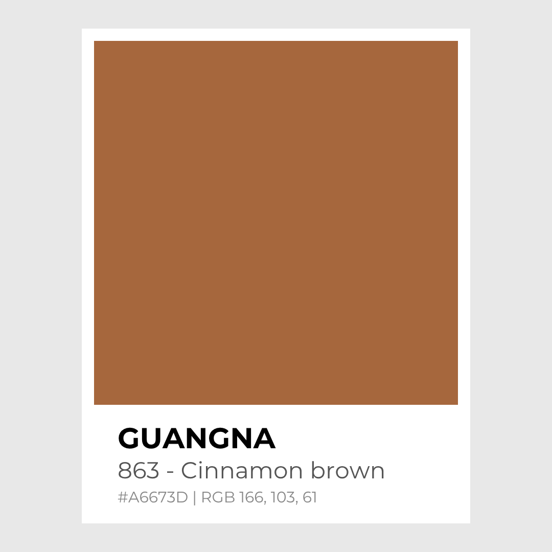Feutres acryliques - Guangna_863_-_Cinnamon_brown - Lovely Colors