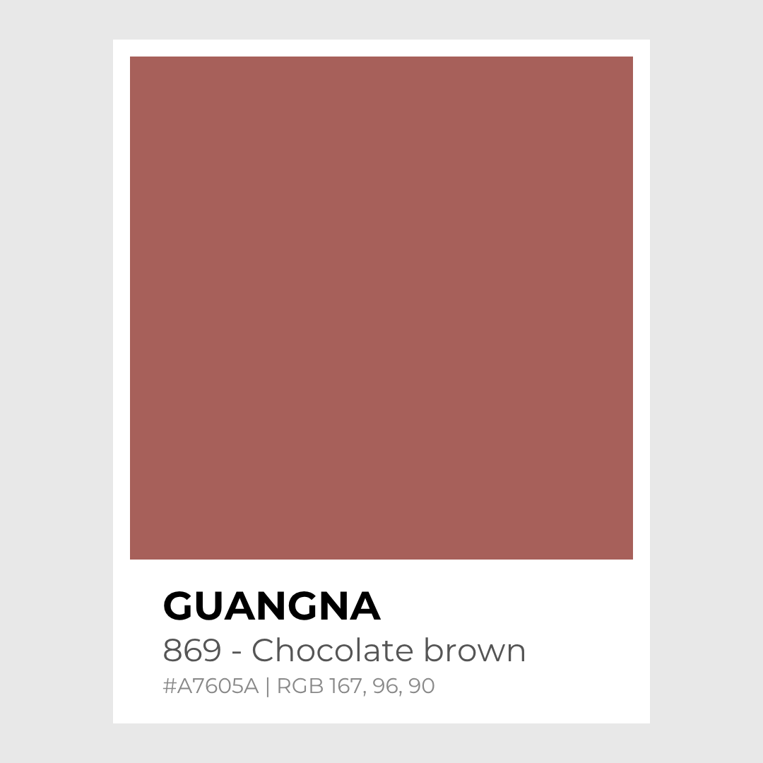 Feutres acryliques - Guangna_869_-_Chocolate_brown - Lovely Colors